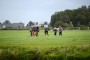 Thumbs/tn_Baggerloop 2015 459.jpg